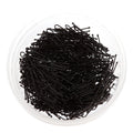 KIM &amp; C 300pcs Ball Tip Hair Pins (1 3/4inch) (300pcs/jar)