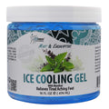 SPA REDI Ice Cooling Gel (16oz)